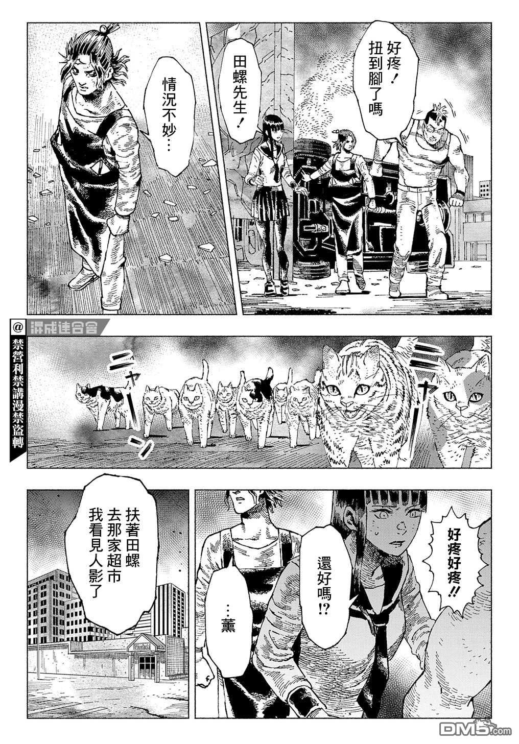 第3話任務貓作戰（37P）