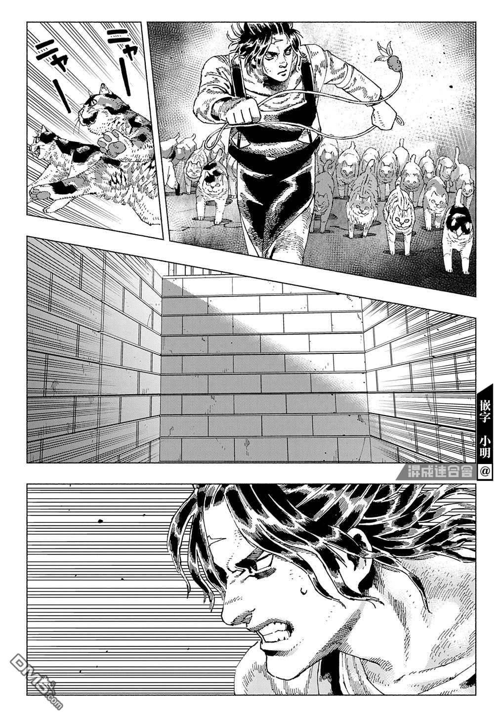 第3話任務貓作戰（37P）