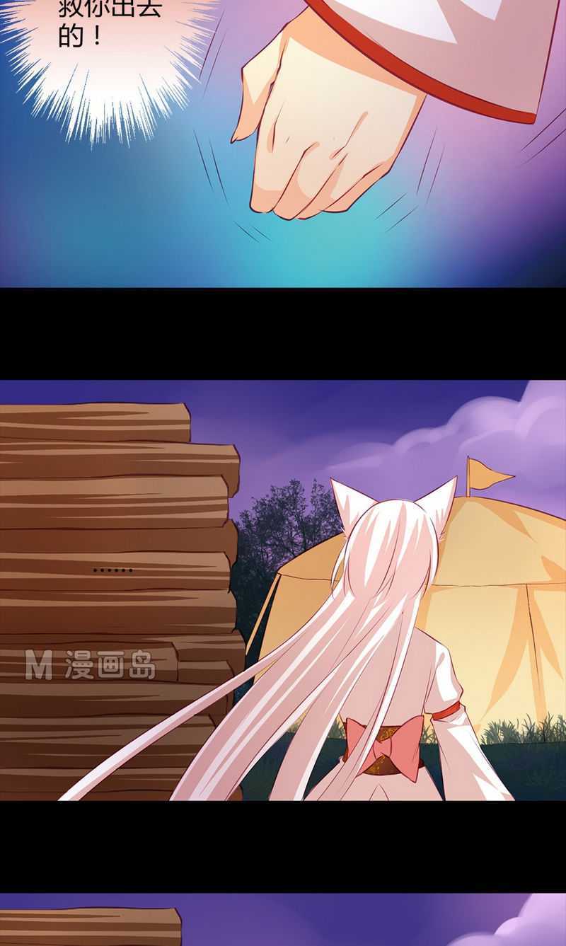   第41回